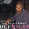 Duli Silver