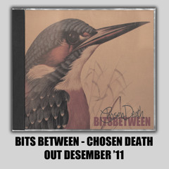 Bits Between - All I want (The Offspring Cover)