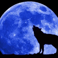 Volkmar Theil - Sound Pro