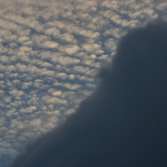 The Bootross Gunn Project