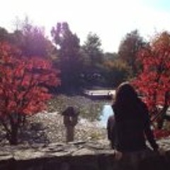 Simone Del Roy Spuckler