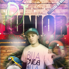 DjJuniorOriginaldoBrasil