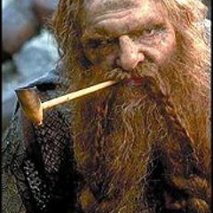 Tulipan Malabar John