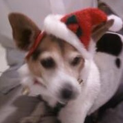 Ruben Dario Velasquez