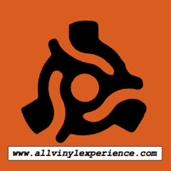 All Vinyl Experience