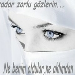 03. Daimi Özdoğan - Ağlama Ağlarım - Ben Seni Sevdimde Öldüm