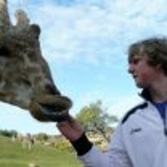 Songs to Download