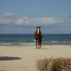 Ibe Remen Verstraete