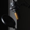 ProjectAudioInc