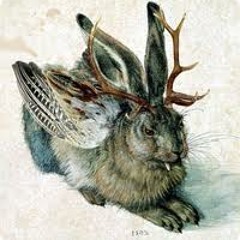 the jackalope