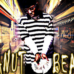 Peanut on the Beat