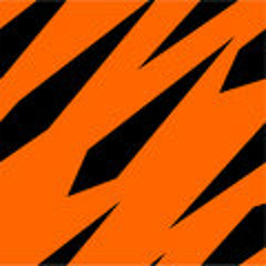 project - tigersnare