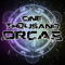 One Thousand Orcas