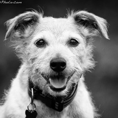 the.hard.to.find.shht