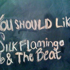 silk flamingo & the beat!