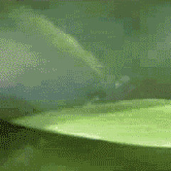 To You - Walt Whitman