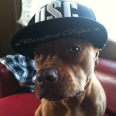 Rushdawg