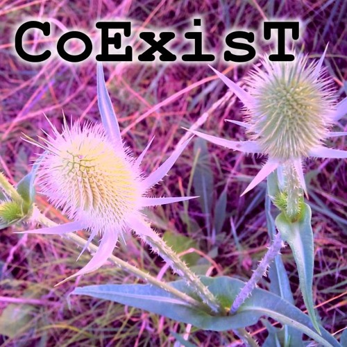 CoExisT’s avatar