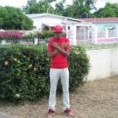 Orlando Ypree Williams