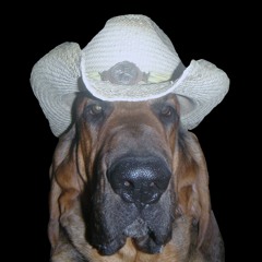 Duke of Windsor