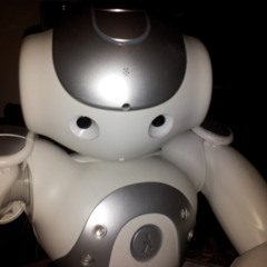 robot-dev-ninja