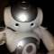 robot-dev-ninja