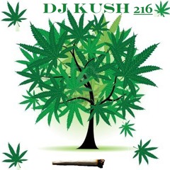 DJKUSH216