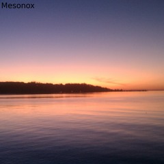 Mesonox