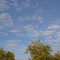 marialejandram13