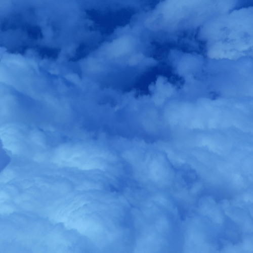 Richi Krakdown Surf Track 4