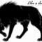 shado-w-olf