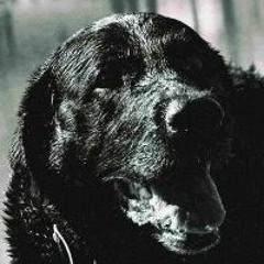 Craig Hart Christie Jr.