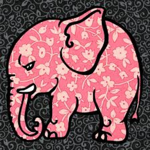 Pink elephant’s avatar