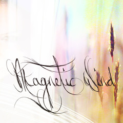 Magnetic Wind