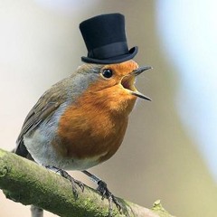 RedMcBread