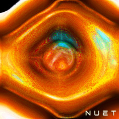 nuet