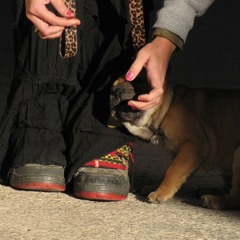 KALIgula no es fiera