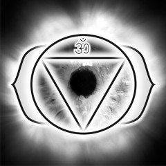 younger brother - live at camp bisco v 2006-08-27