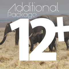AdditionalPackage12
