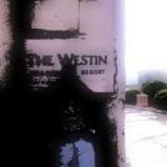 Tommy Zackarias Westin