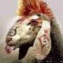 Beule