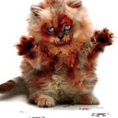 Christopher Chamblee