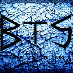 B.T.S. Official