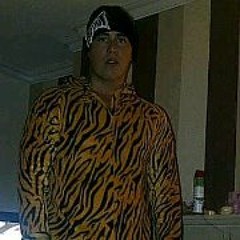 Shaun Stenner