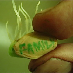 Wurmy Wormfield & Friends