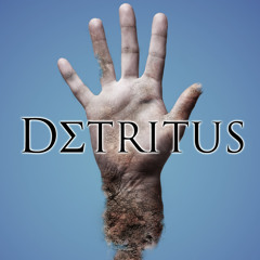 Within Temptation - What have you done (Detritus remix)