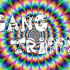 Bi9Amp's GangTrippy Music