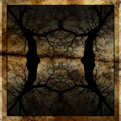 Ouroboros Project
