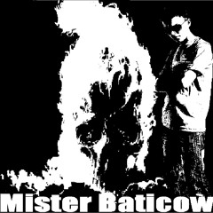 Mister-Baticow
