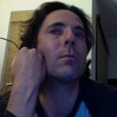 David Stein 5